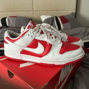 Nike dunk lows with original box